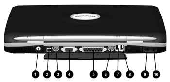 Back View